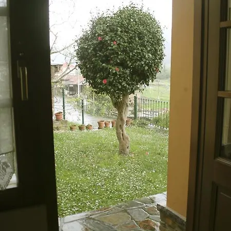 Las Camelias * Soto de Luiña