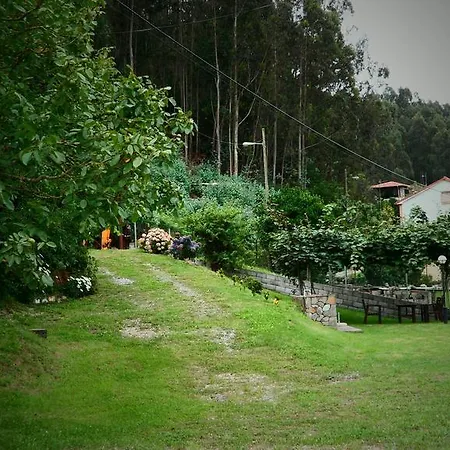 Las Camelias